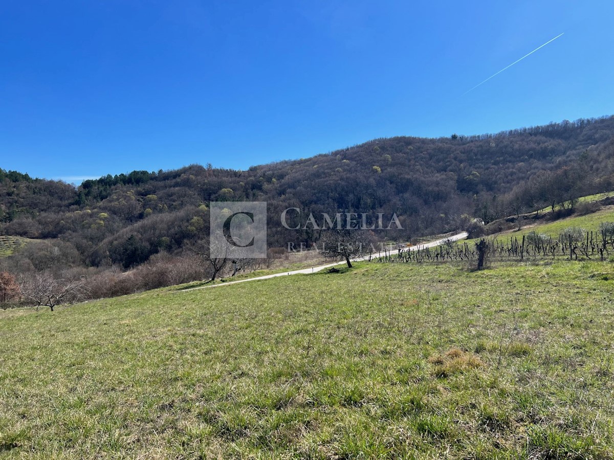 Land For sale - ISTARSKA PAZIN