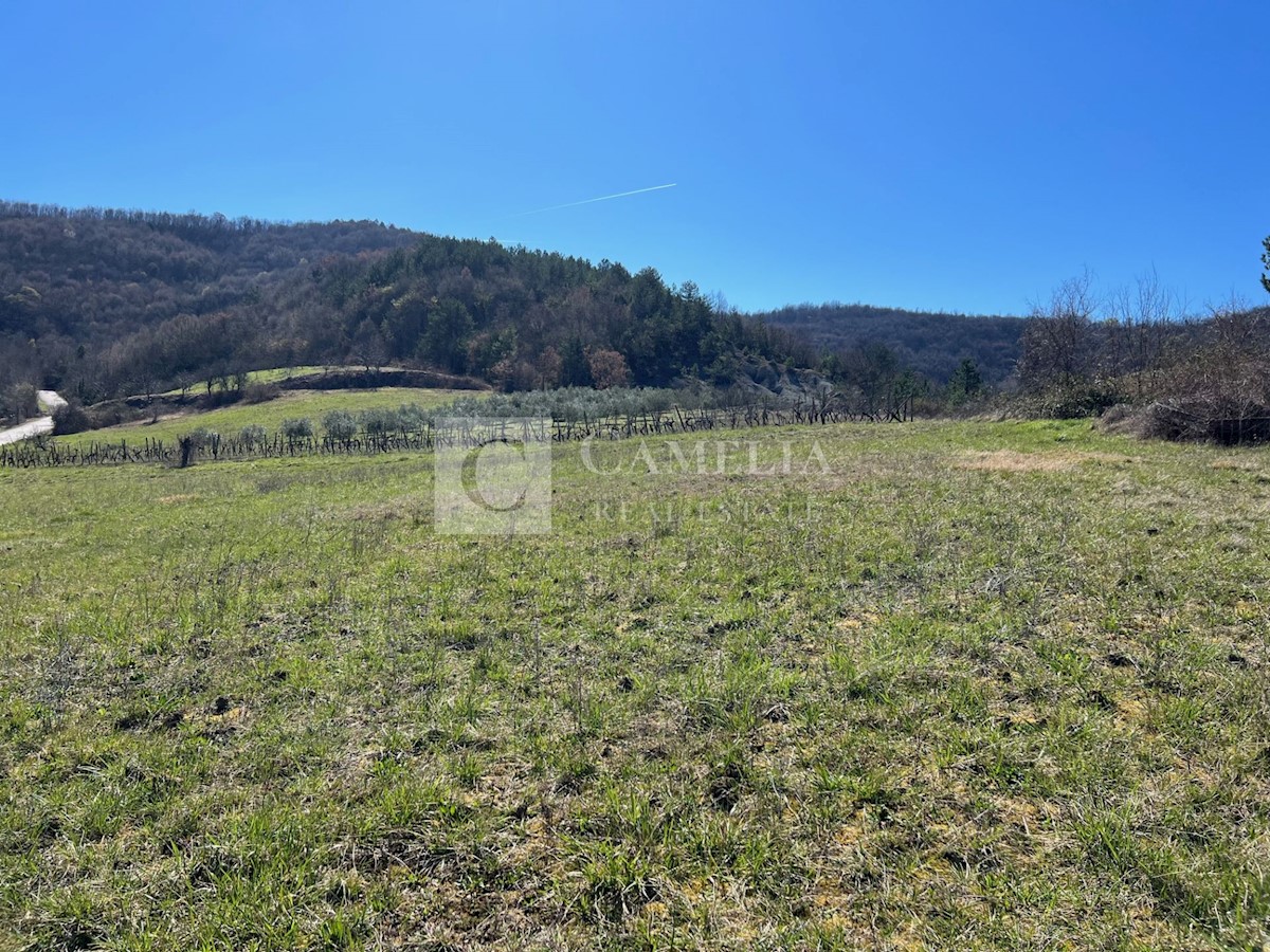 Land For sale - ISTARSKA PAZIN