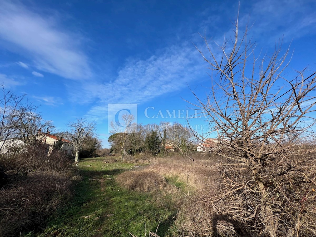 Land For sale - ISTARSKA POREČ