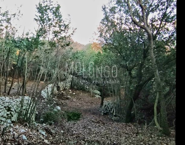 Zemljište Na prodaju - Primorsko-goranska Mošćenička Draga - foto 2/2