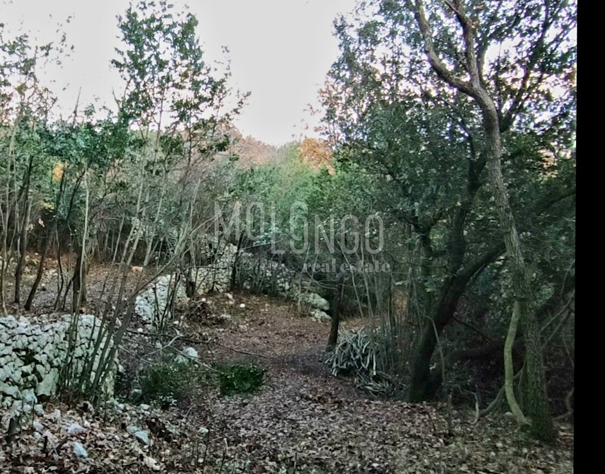 Land For sale - Primorsko-goranska Mošćenička Draga - foto 2/2