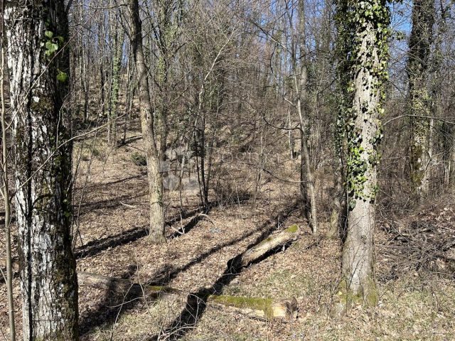 Land for sale 5395 m² – Rukavac