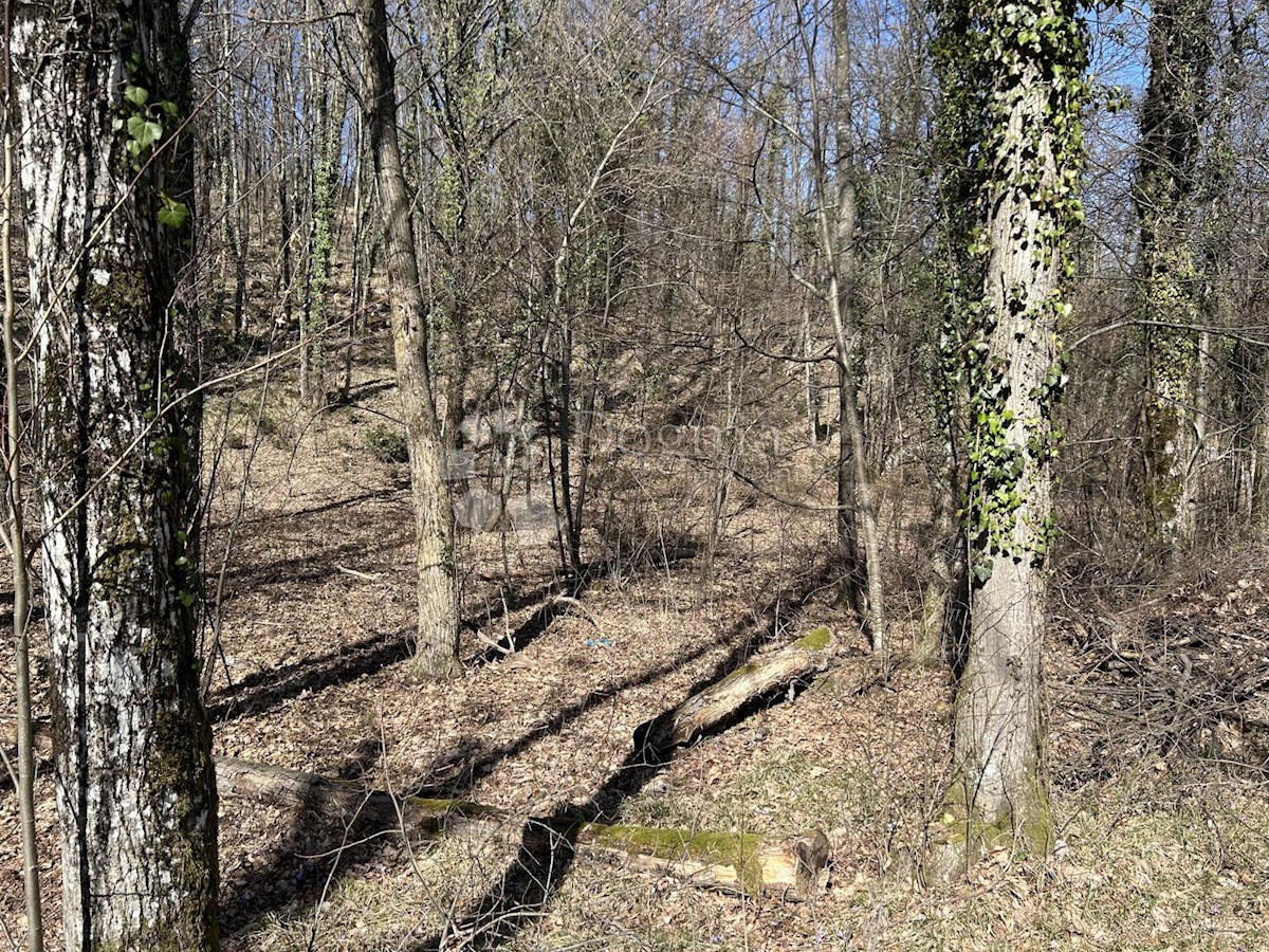 Pozemek Na prodej - Primorsko-goranska Matulji - foto 1/2
