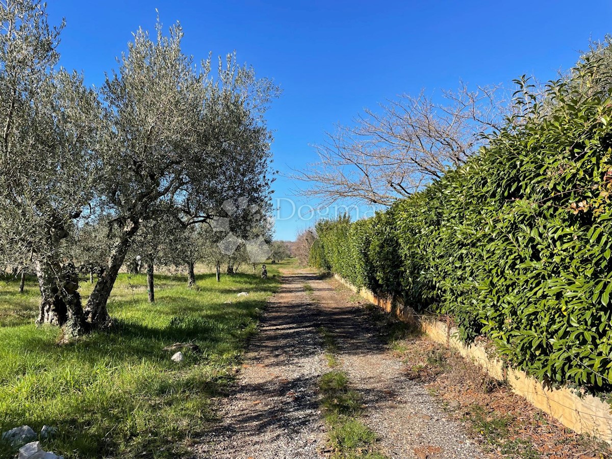 Parcela Naprodaj - ISTARSKA Tar-Vabriga