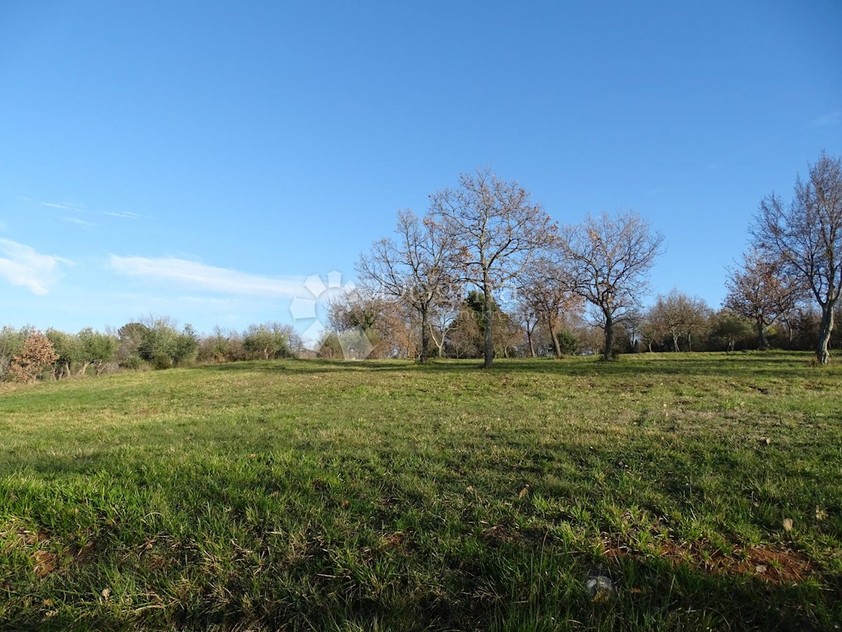 Pozemek Na prodej - ISTARSKA TAR-VABRIGA