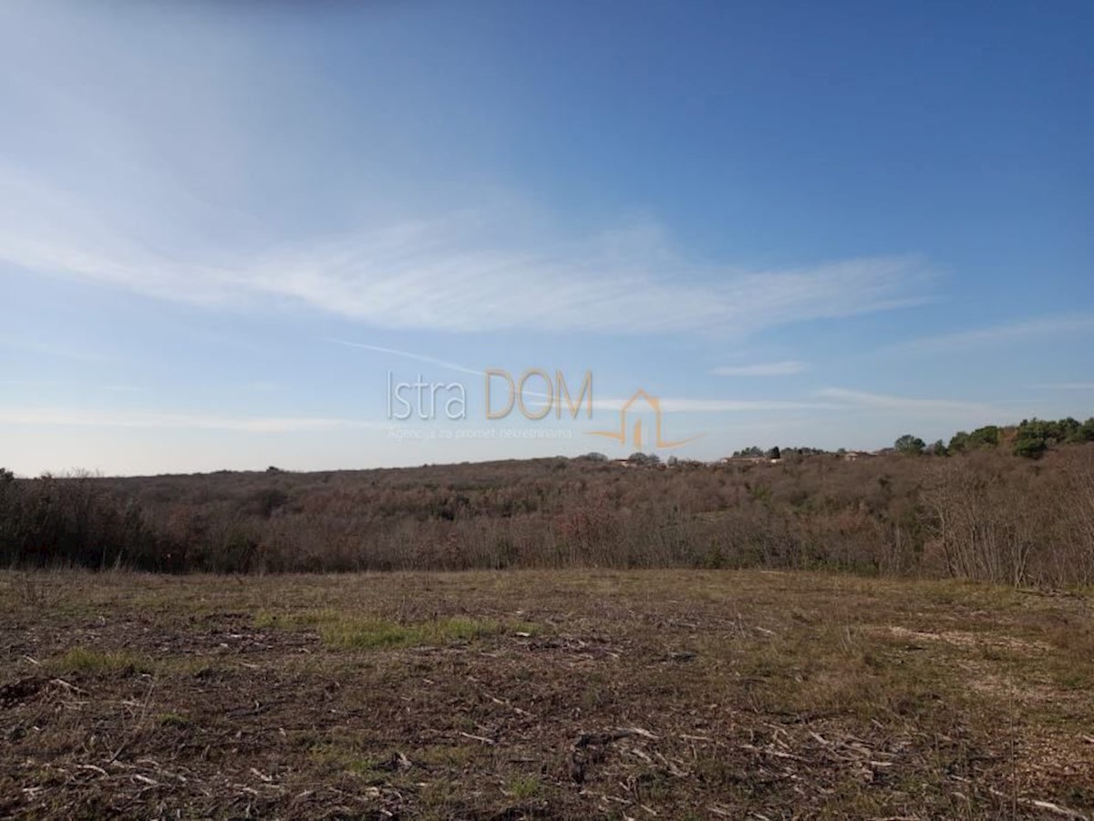 Land For sale - ISTARSKA BARBAN