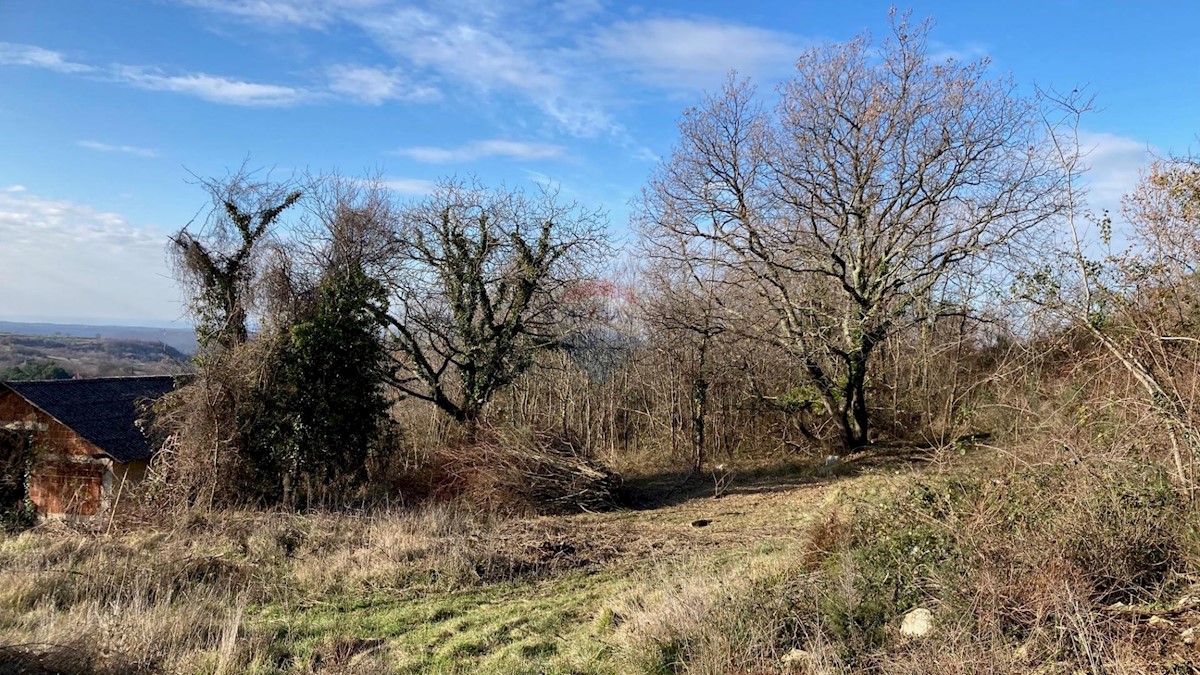 Terreno In vendita - ISTARSKA GROŽNJAN