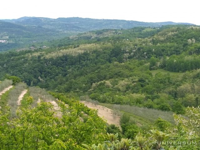 Terrain À vendre - Istarska Vižinada - foto 2/13