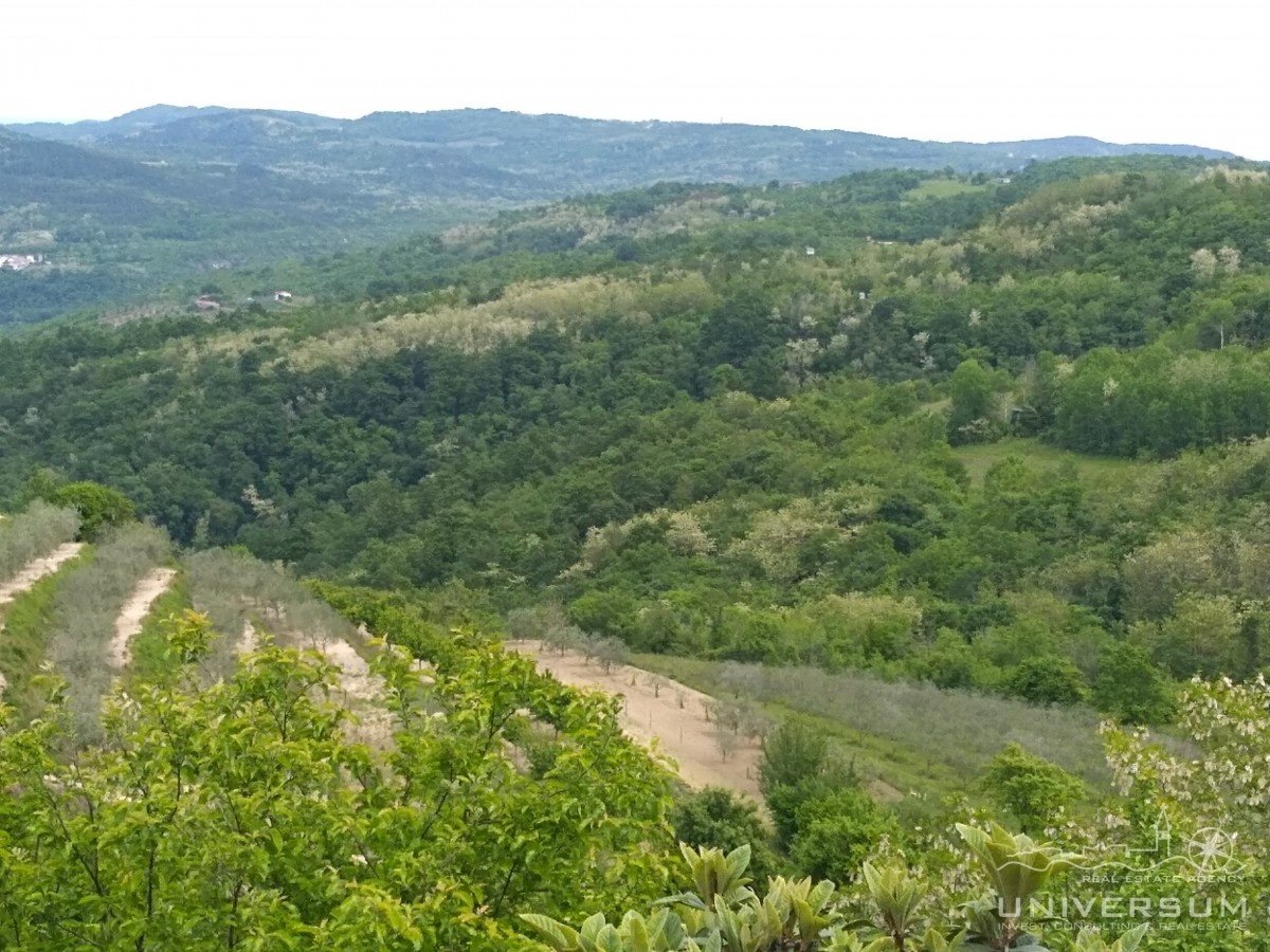 Terrain À vendre - ISTARSKA VIŽINADA