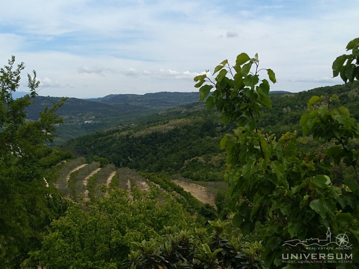 Terrain À vendre - ISTARSKA VIŽINADA
