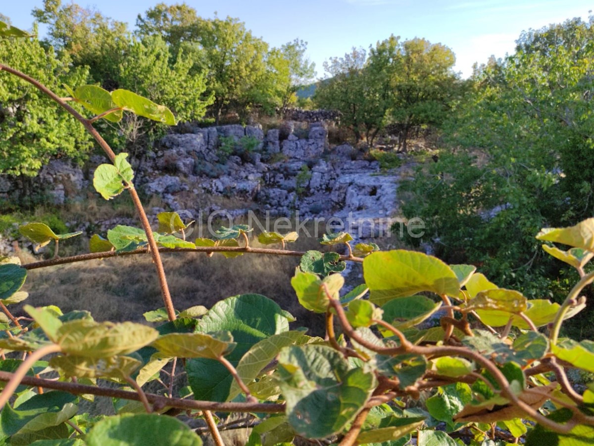 Maison À vendre - SPLITSKO-DALMATINSKA BRAČ