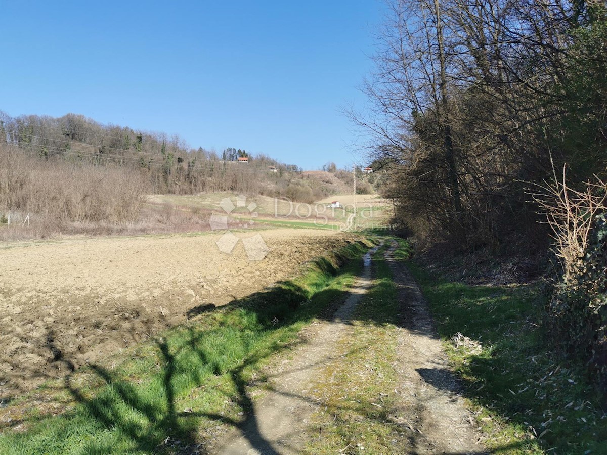 Land For sale - KRAPINSKO-ZAGORSKA VELIKO TRGOVIŠĆE