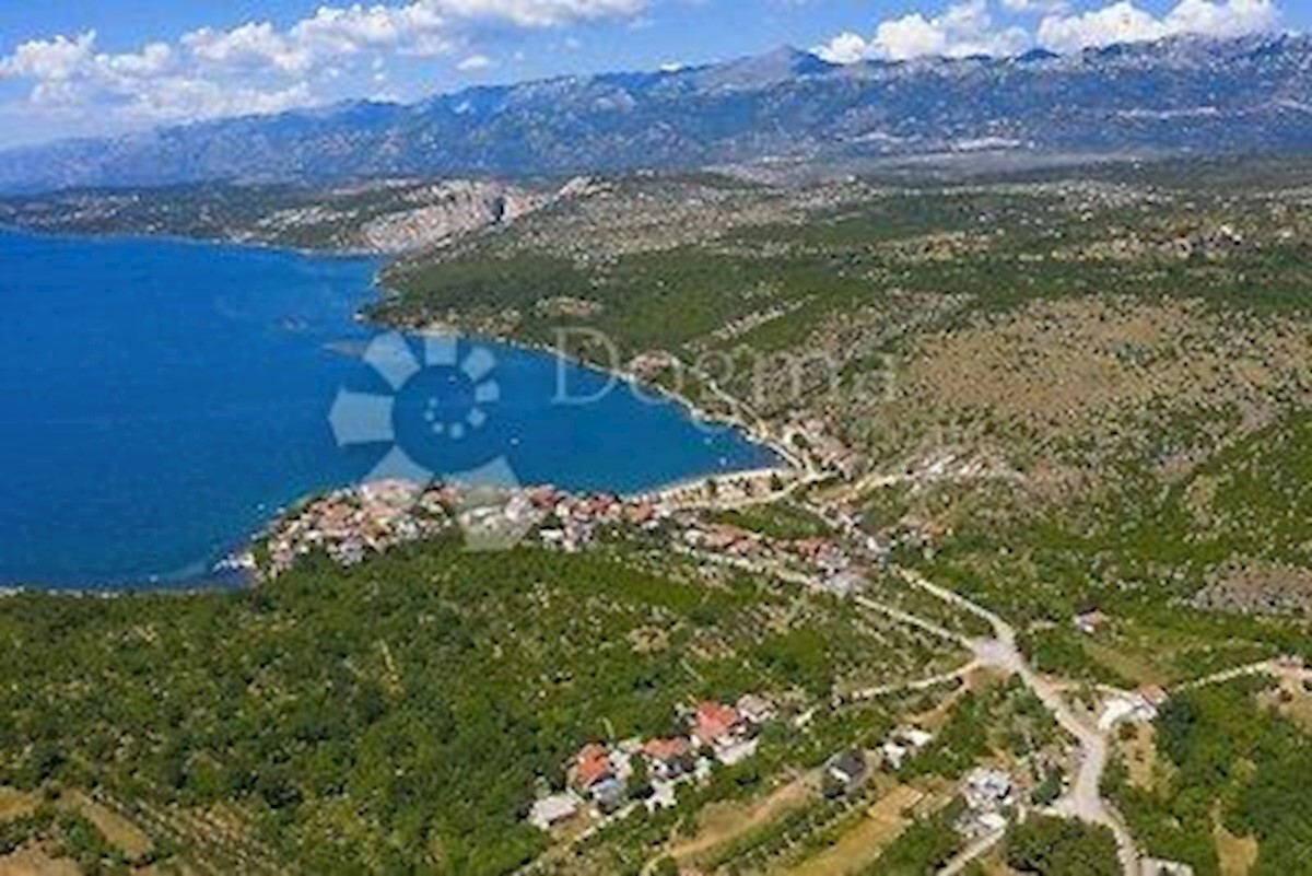 Land For sale - POŽEŠKO-SLAVONSKA BRESTOVAC