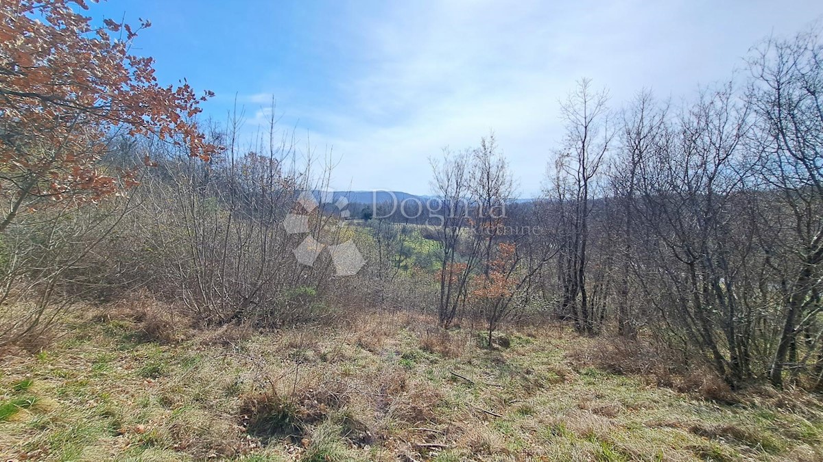 Land For sale - ISTARSKA BUZET