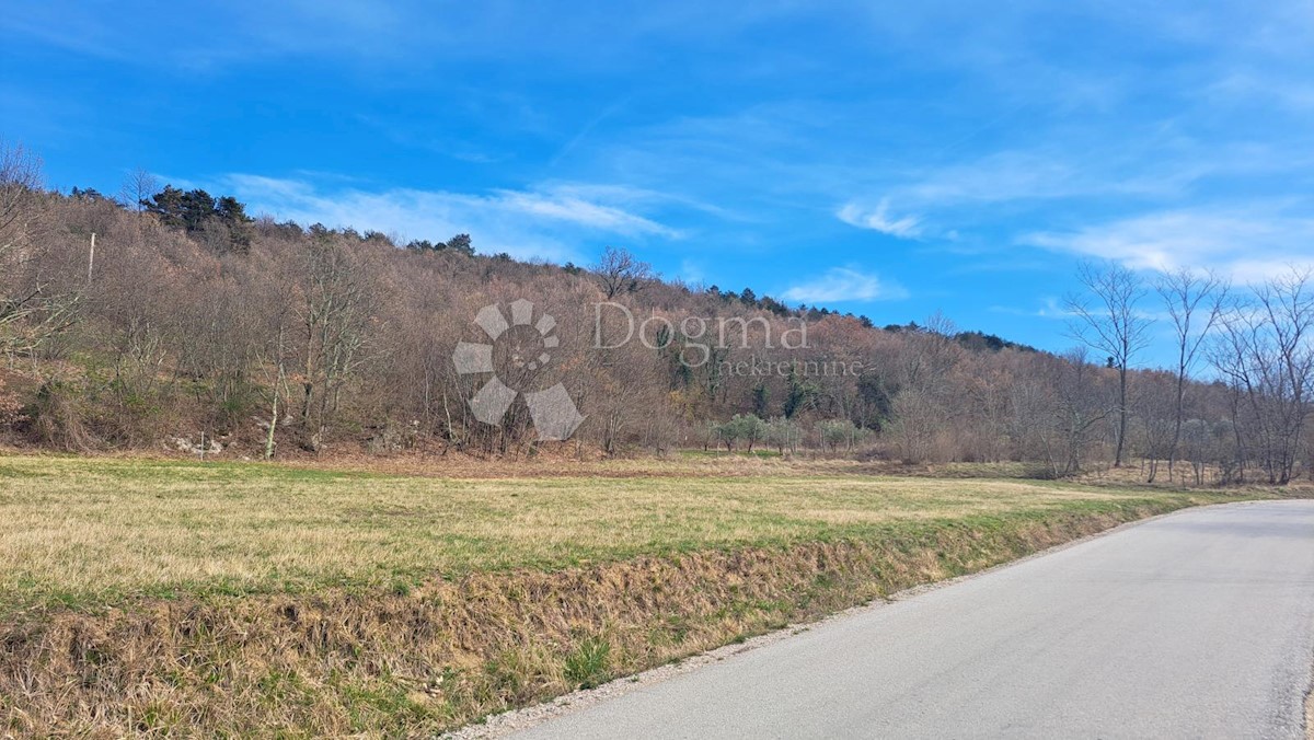 Land For sale - ISTARSKA BUZET