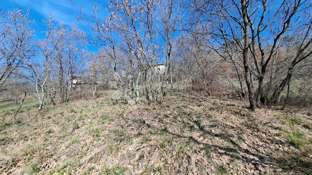 Land For sale - ISTARSKA BUZET