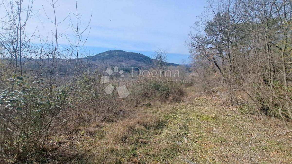 Land For sale - ISTARSKA BUZET