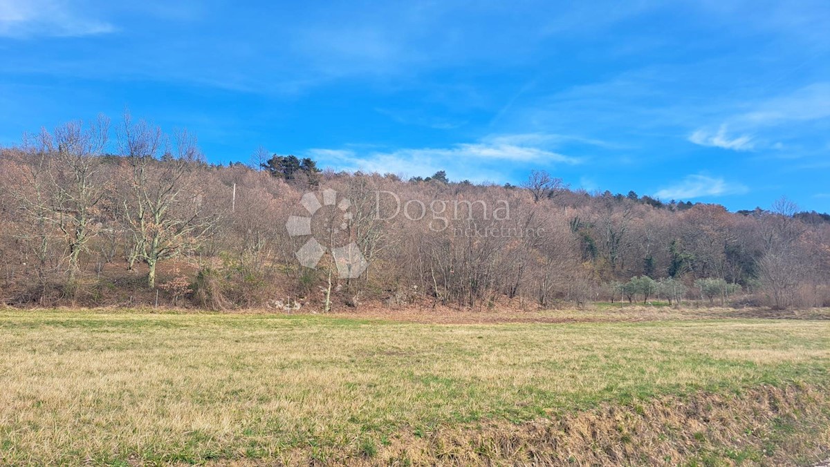 Land For sale - ISTARSKA BUZET