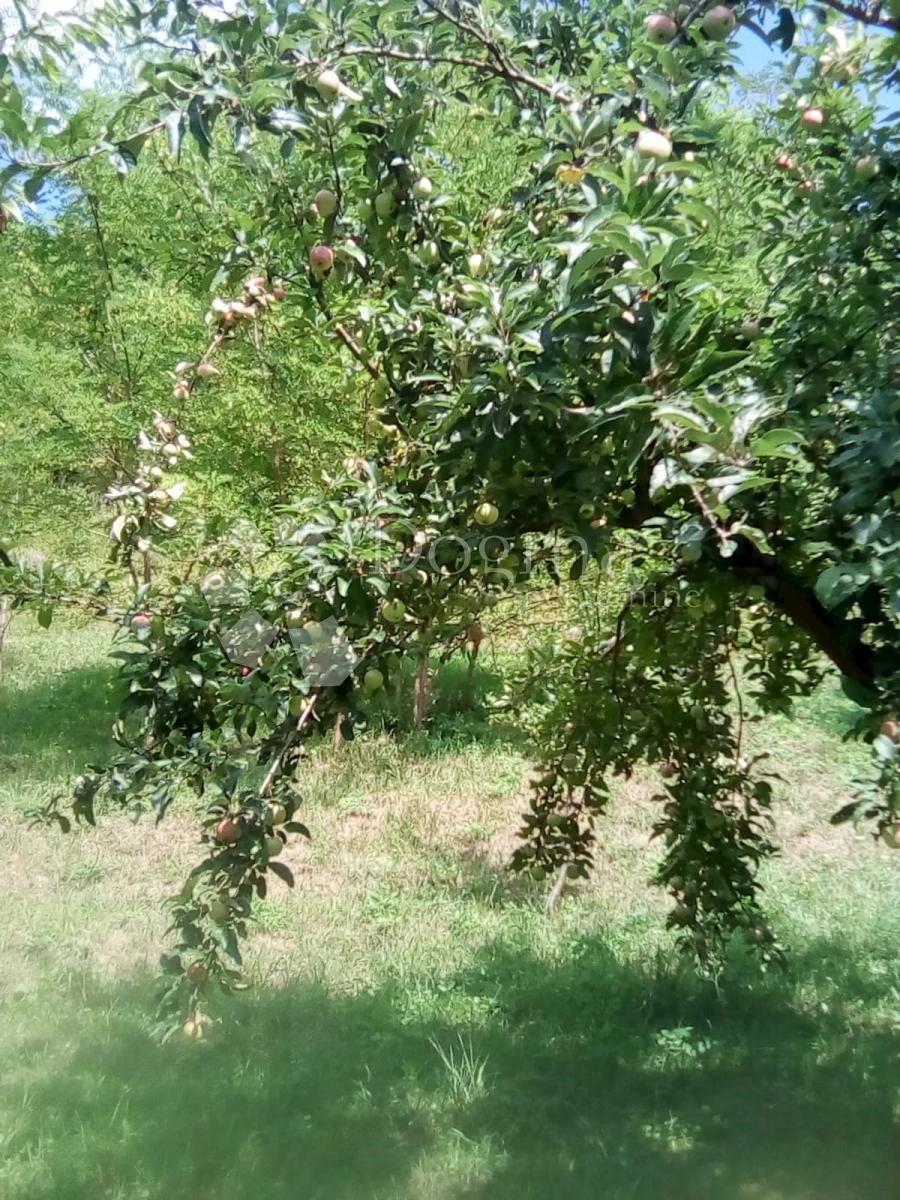 Terreno In vendita - KRAPINSKO-ZAGORSKA TUHELJ