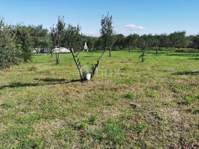 Land For sale - Zadarska Pašman - foto 4/6