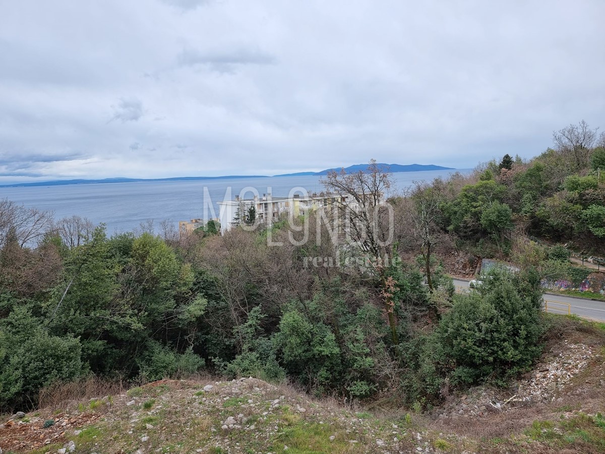 House For sale - PRIMORSKO-GORANSKA OPATIJA