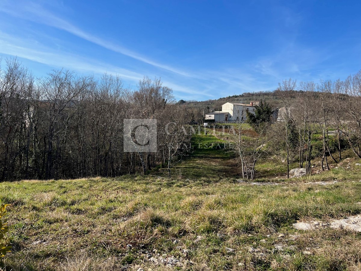 Land For sale - ISTARSKA BUZET