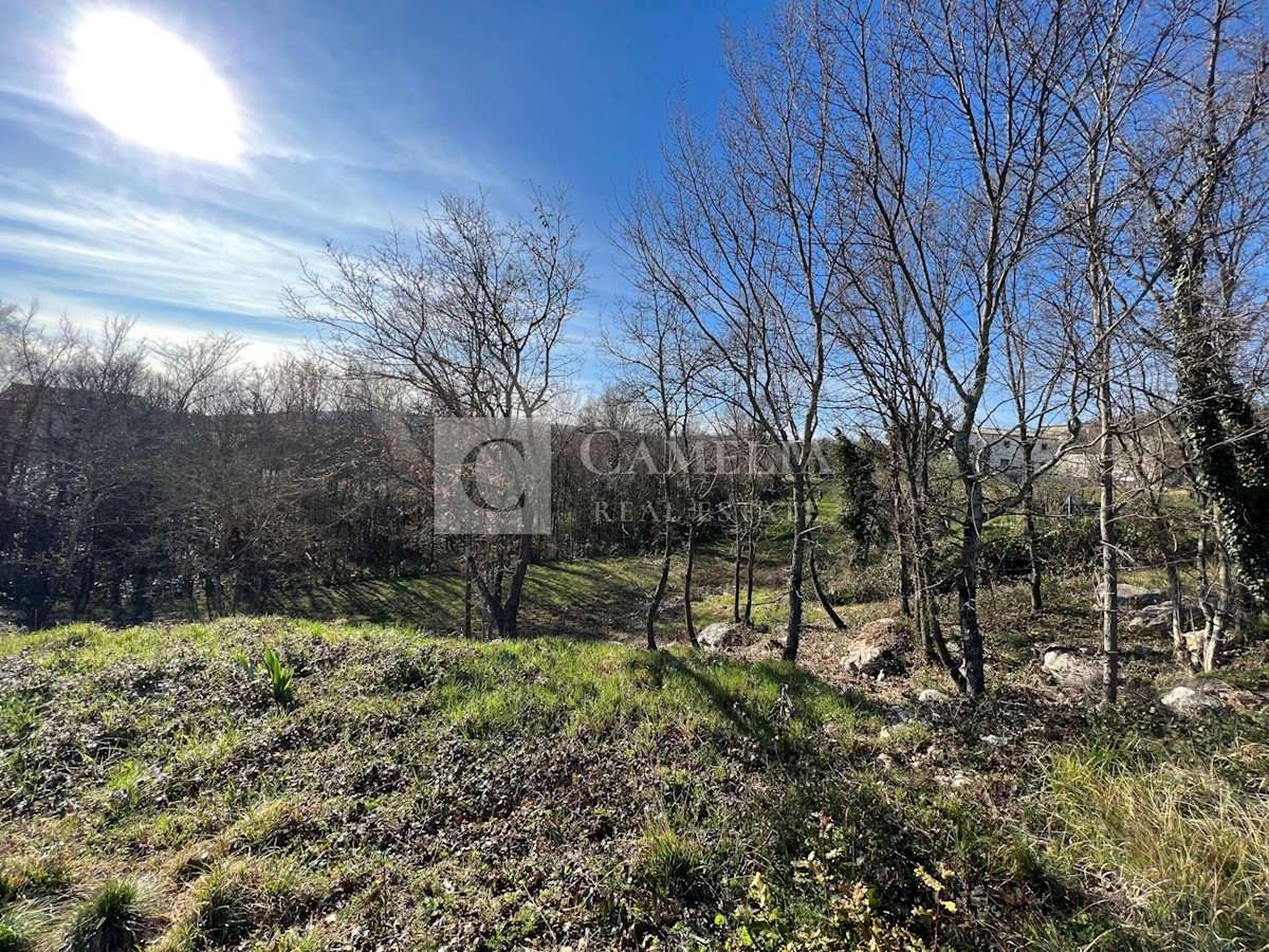 Land For sale - ISTARSKA BUZET