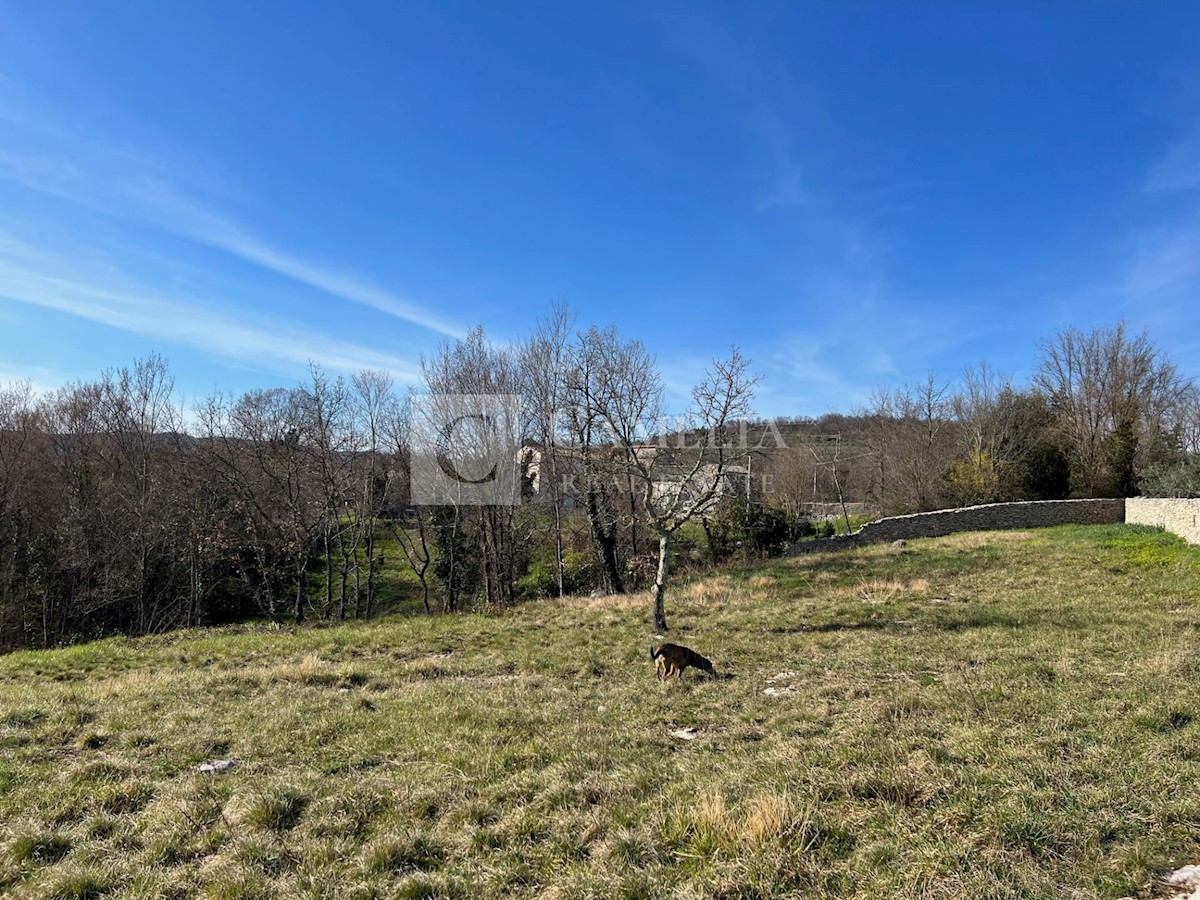 Land For sale - ISTARSKA BUZET