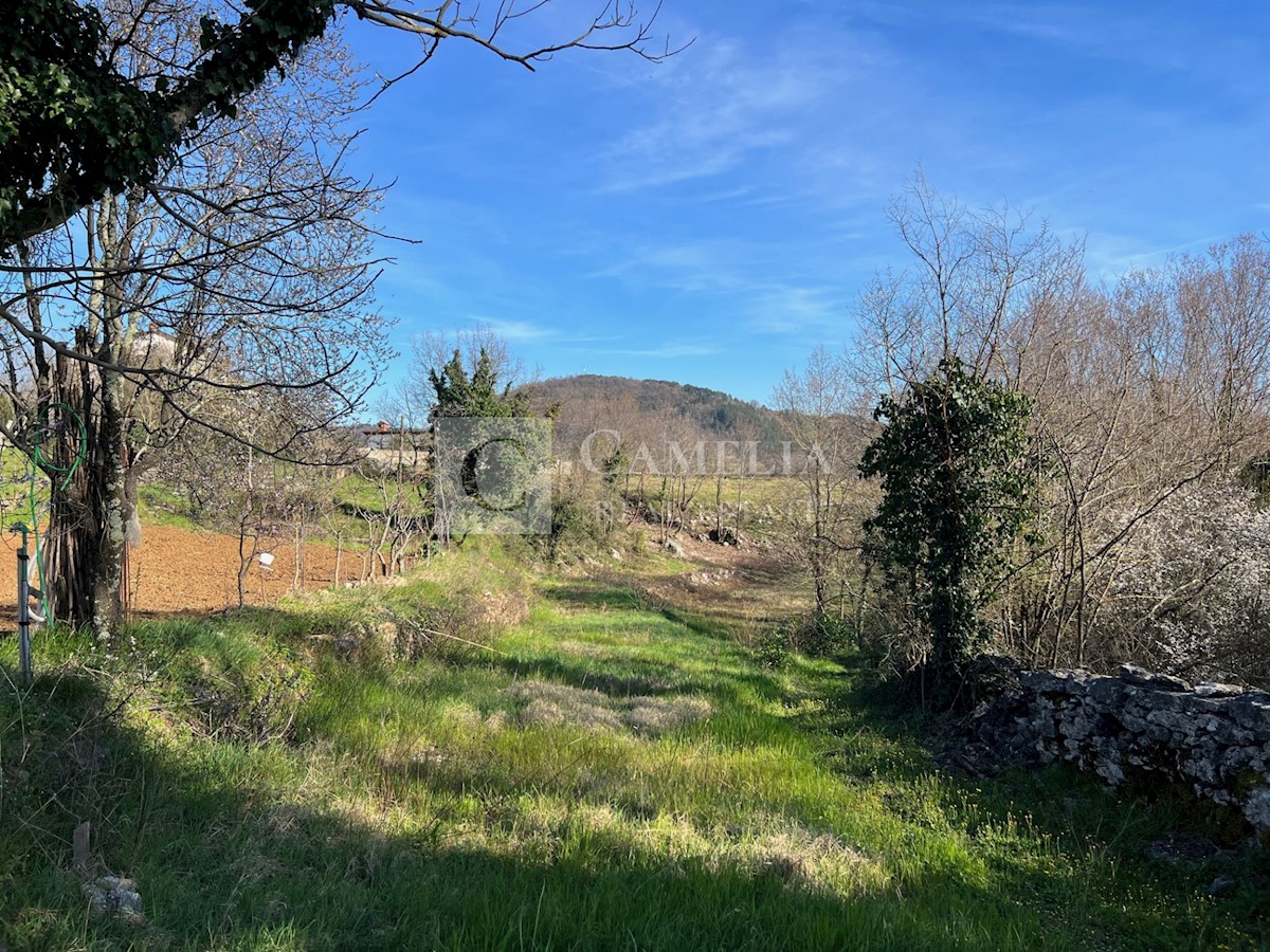 Land For sale - ISTARSKA BUZET