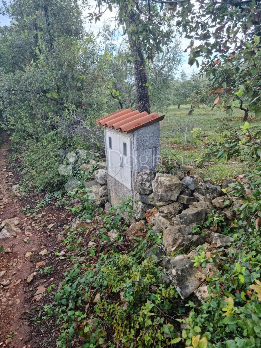 Zemljište Na prodaju - ISTARSKA MARČANA