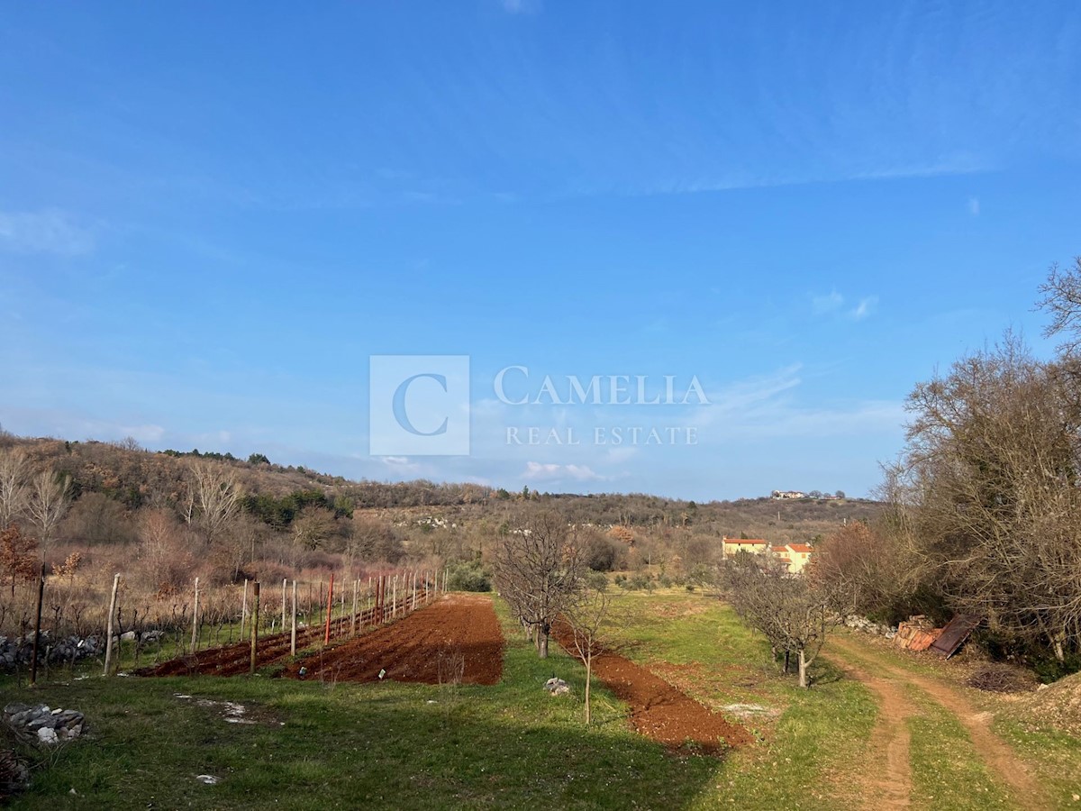 House For sale - ISTARSKA LABIN