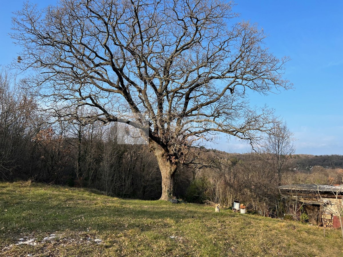 Dom Na predaj - ISTARSKA LABIN