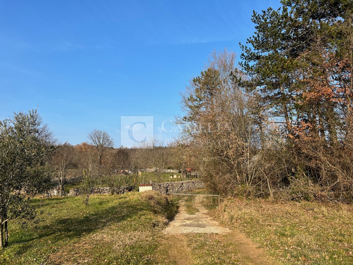 Dom Na predaj - ISTARSKA LABIN