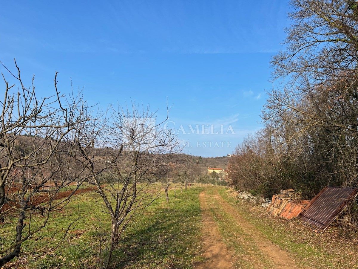 Dom Na predaj - ISTARSKA LABIN