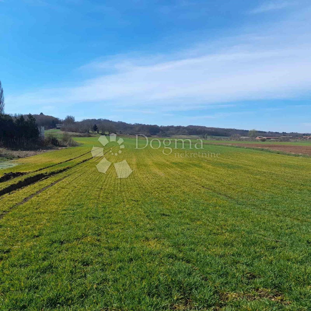 Land For sale - VARAŽDINSKA JALŽABET