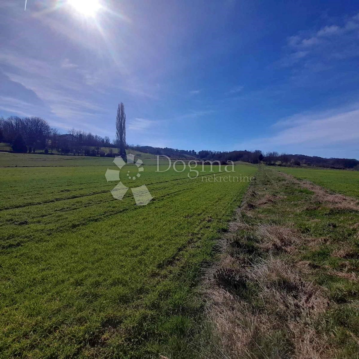 Land For sale - VARAŽDINSKA JALŽABET