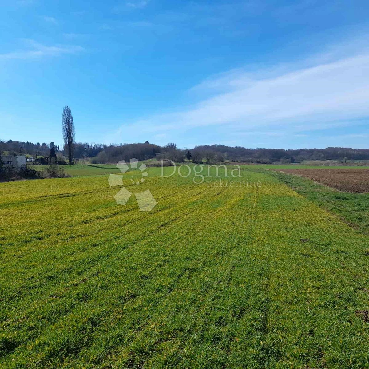 Land For sale - VARAŽDINSKA JALŽABET