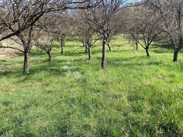Land for sale 1026 m² – Čučerje