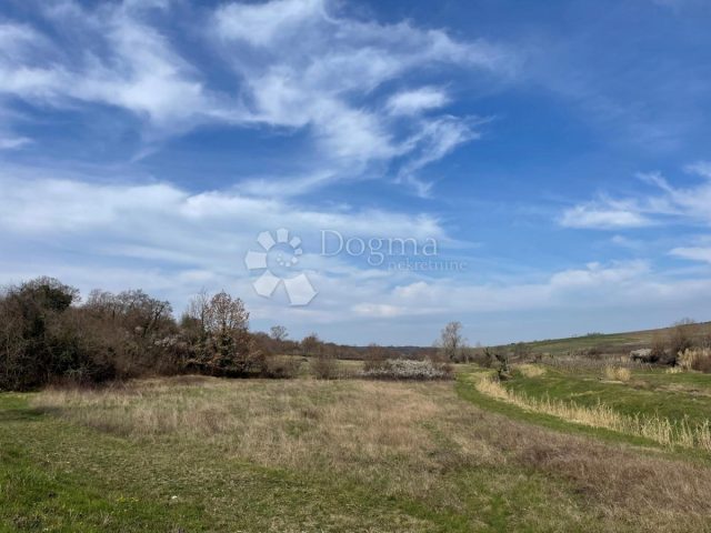 Pozemek na prodej 15980 m² – Buje