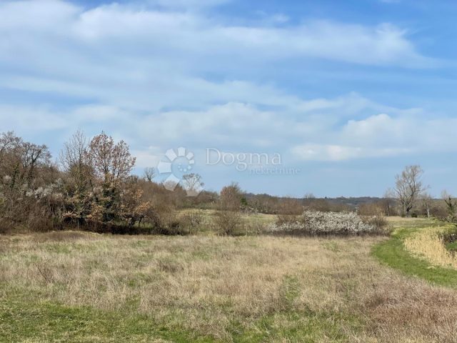 Zemljište Na prodaju - Istarska Buje - foto 2/3