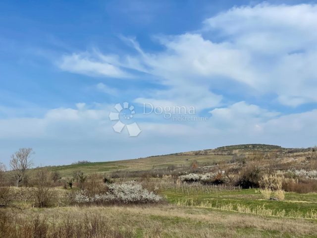 Zemljište Na prodaju - Istarska Buje - foto 3/3