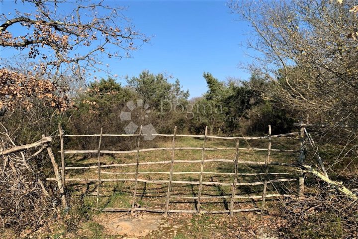 Pozemek na prodej 30058 m² – Bale