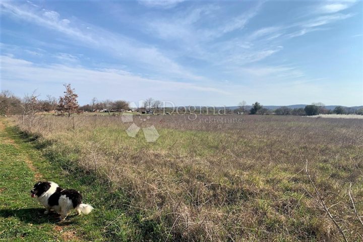 Zemljište na prodaju 9360 m² – Bale