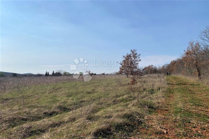 Pozemek Na prodej - Istarska Bale - foto 5/9
