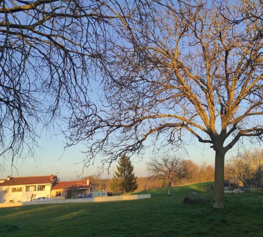 Pozemek na prodej 3342 m² – Sveti Petar U Šumi