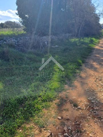 Land For sale - Zadarska Nin - foto 3/3
