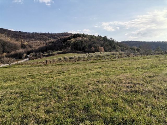 Land For sale - Istarska Pazin - foto 5/7