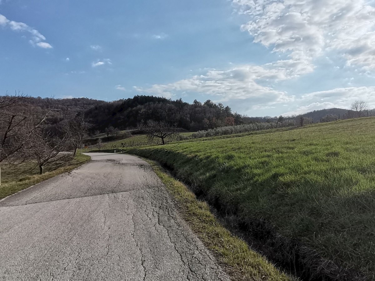 Pozemok Na predaj - ISTARSKA PAZIN