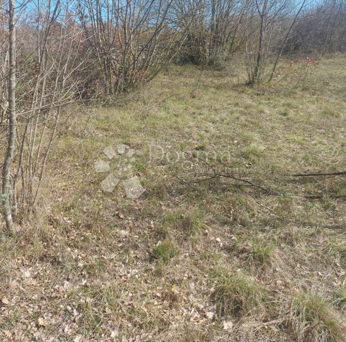 Parcela Naprodaj - ISTARSKA Svetvinčenat