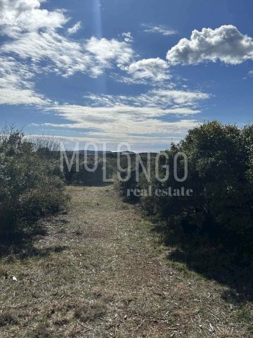 Terrain à vendre 40000 m² – Peroj